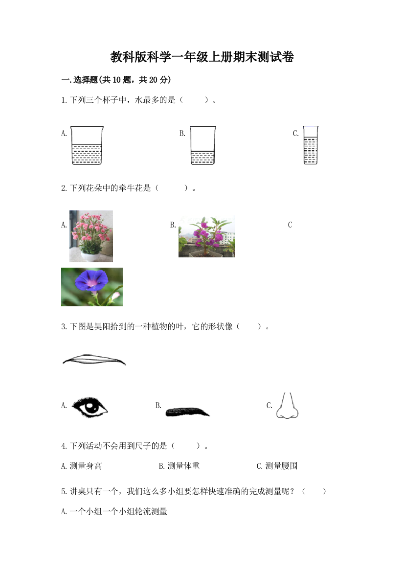 教科版科学一年级上册期末测试卷a4版打印