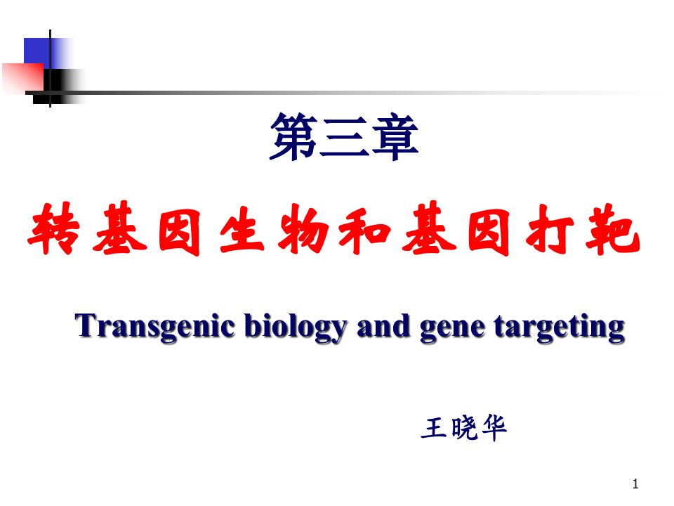 第三章转基因生物和基因打靶市公开课获奖课件省名师示范课获奖课件