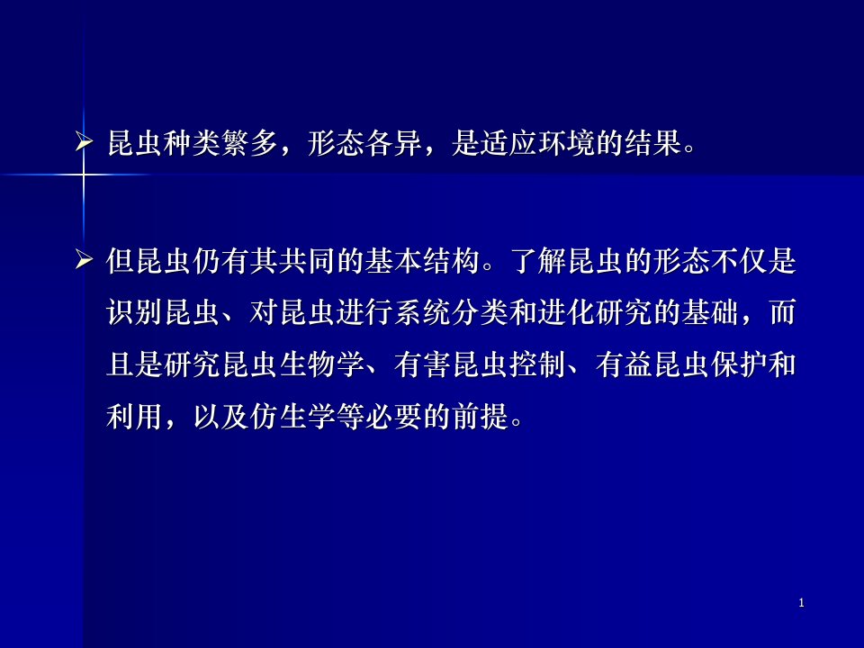 昆虫的外部形态学与功能