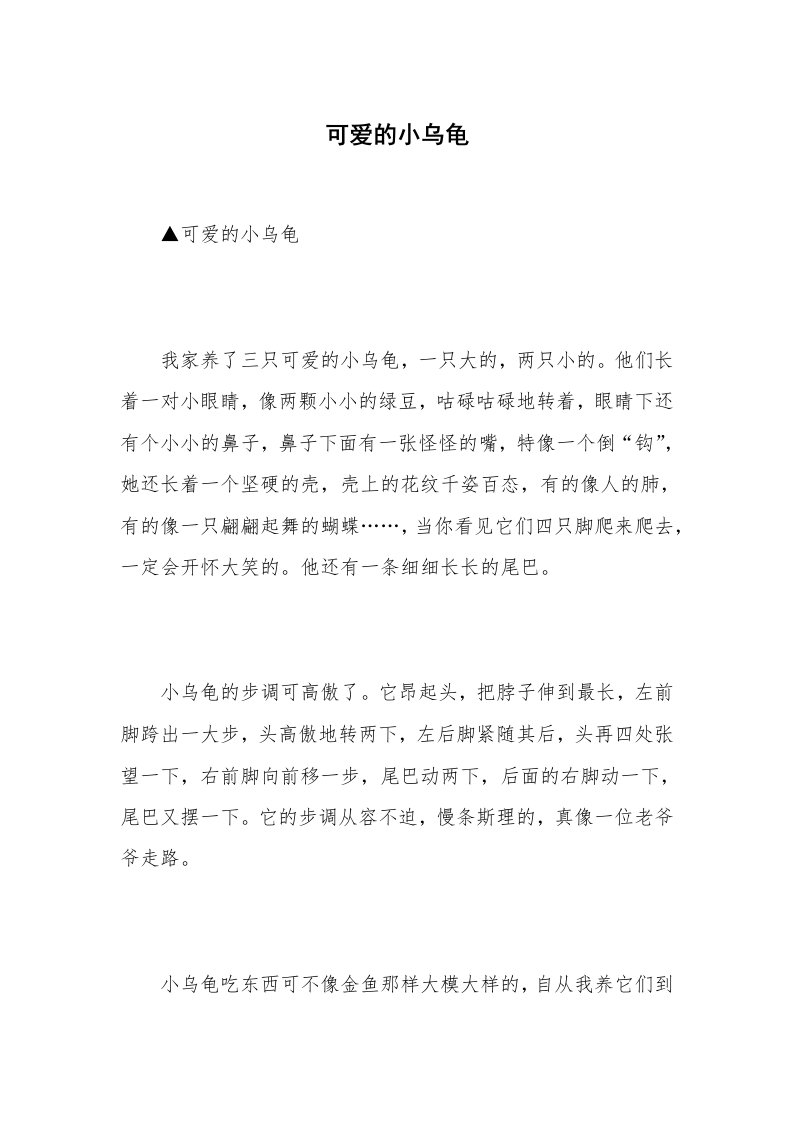 可爱的小乌龟