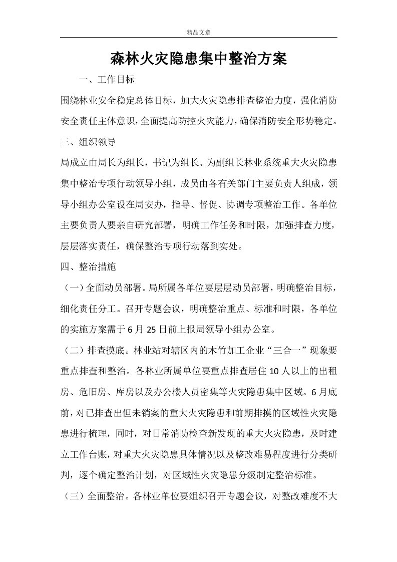 森林火灾隐患集中整治方案