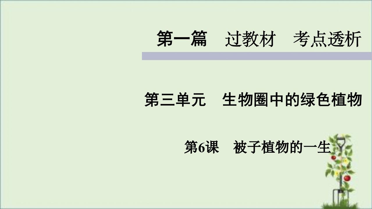 人教版七年级上册生物知识点精讲ppt课件被子植物的一生