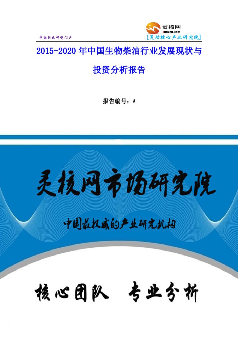 中国生物柴油行业市场分析与发展趋势研究报告灵核网