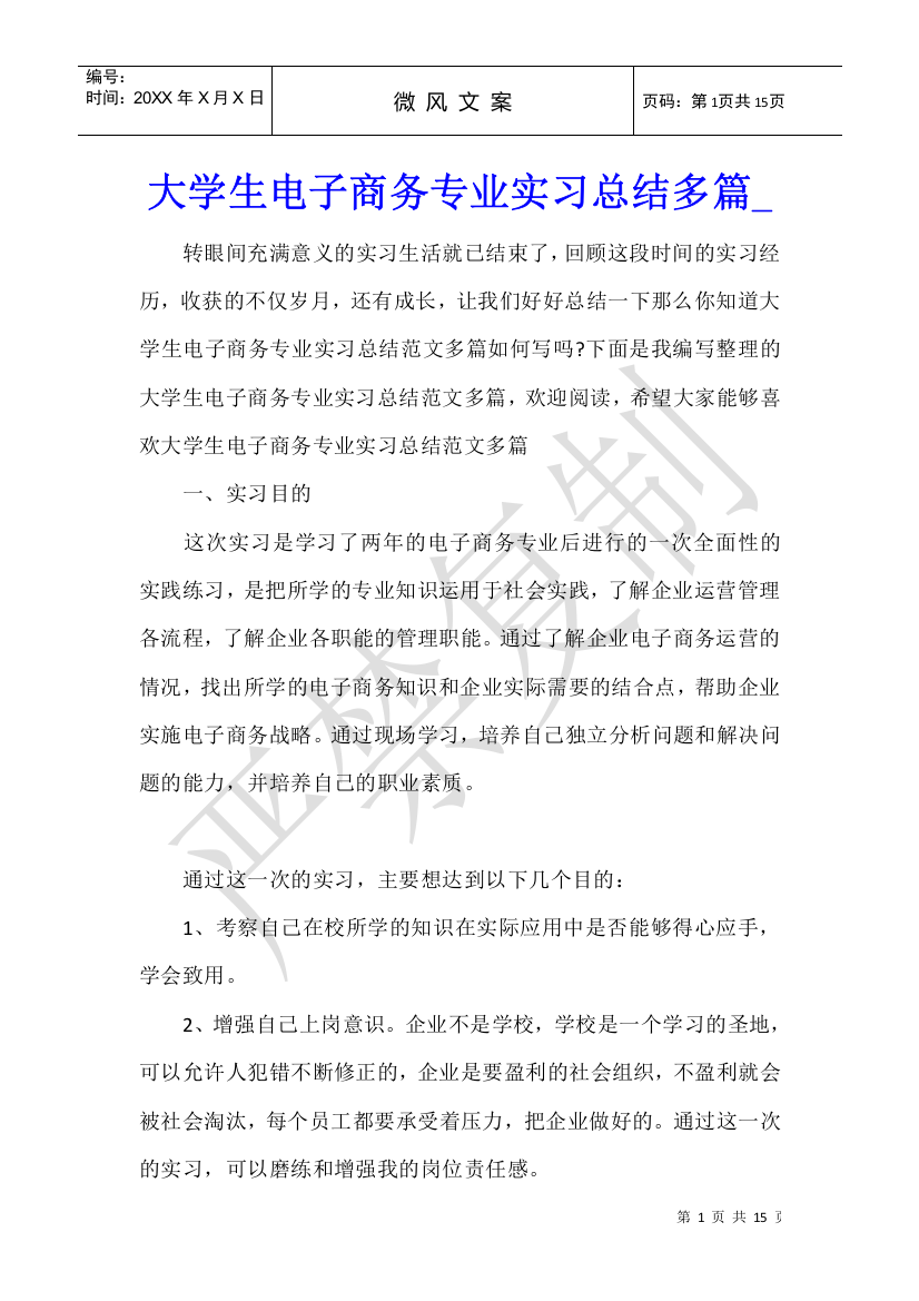 大学生电子商务专业实习总结多篇