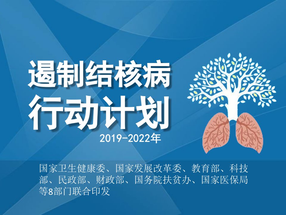 遏制结核病行动计划(2019—2022年)