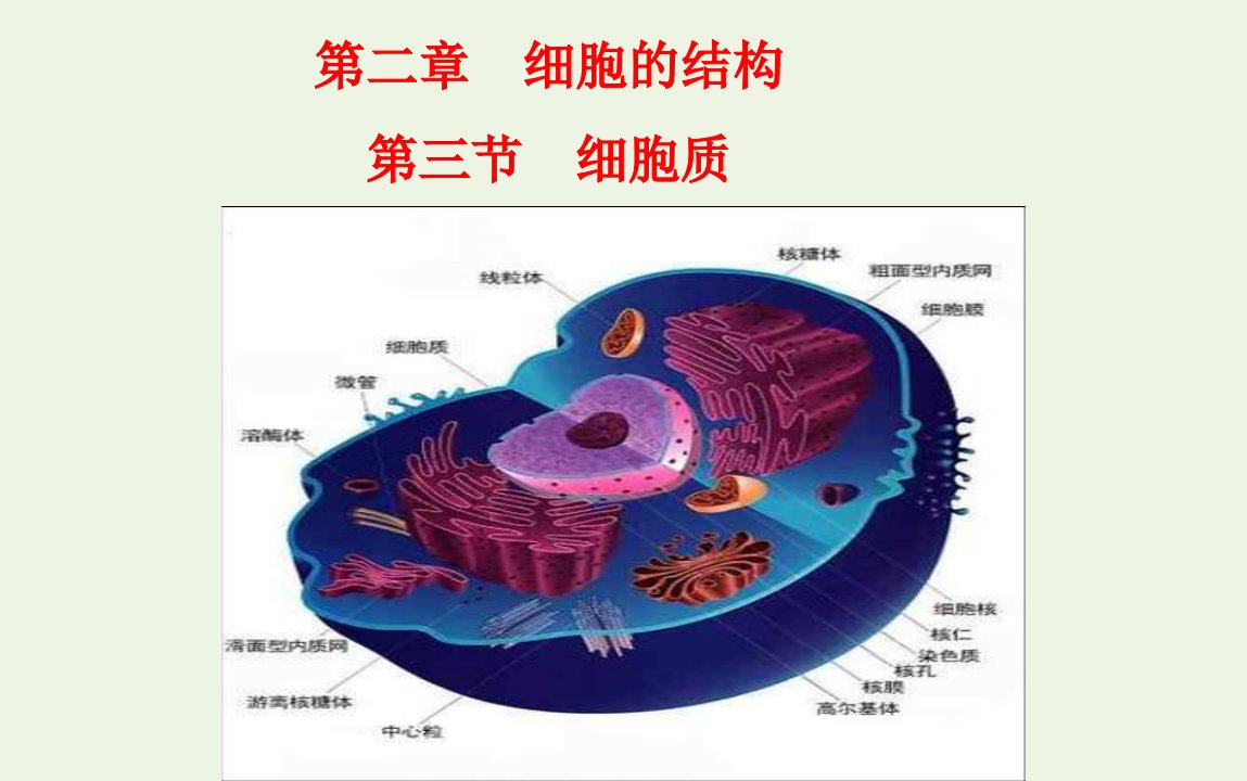 浙江省杭州市塘栖中学高中生物