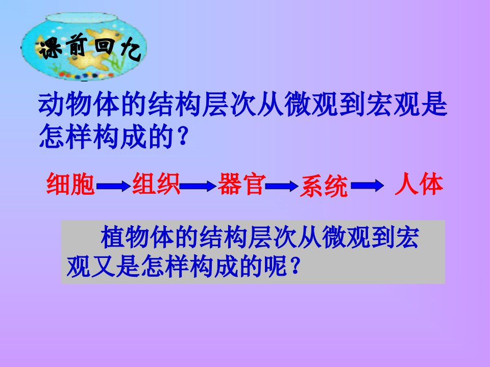 七上生物学植物体的结构层次