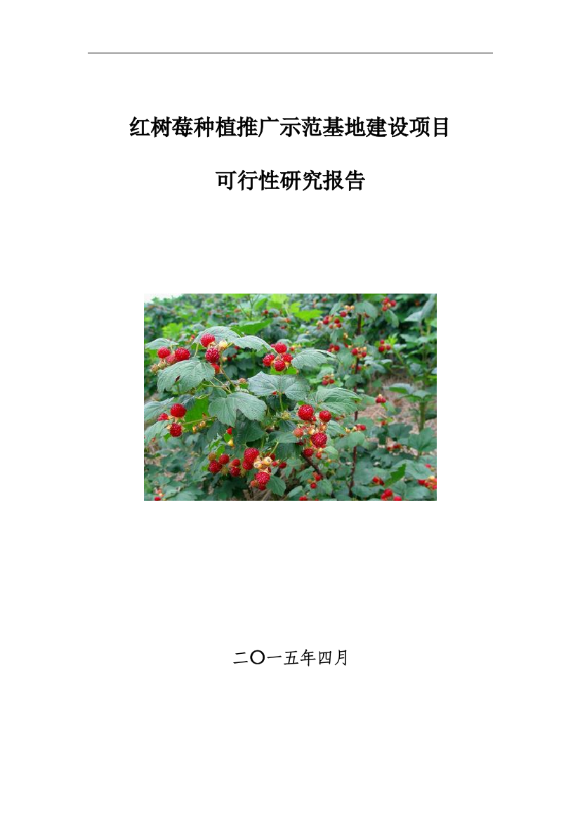 红树莓种植推广示范基地建设项目策划建议书