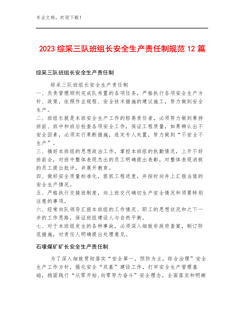 2023综采三队班组长安全生产责任制规范12篇