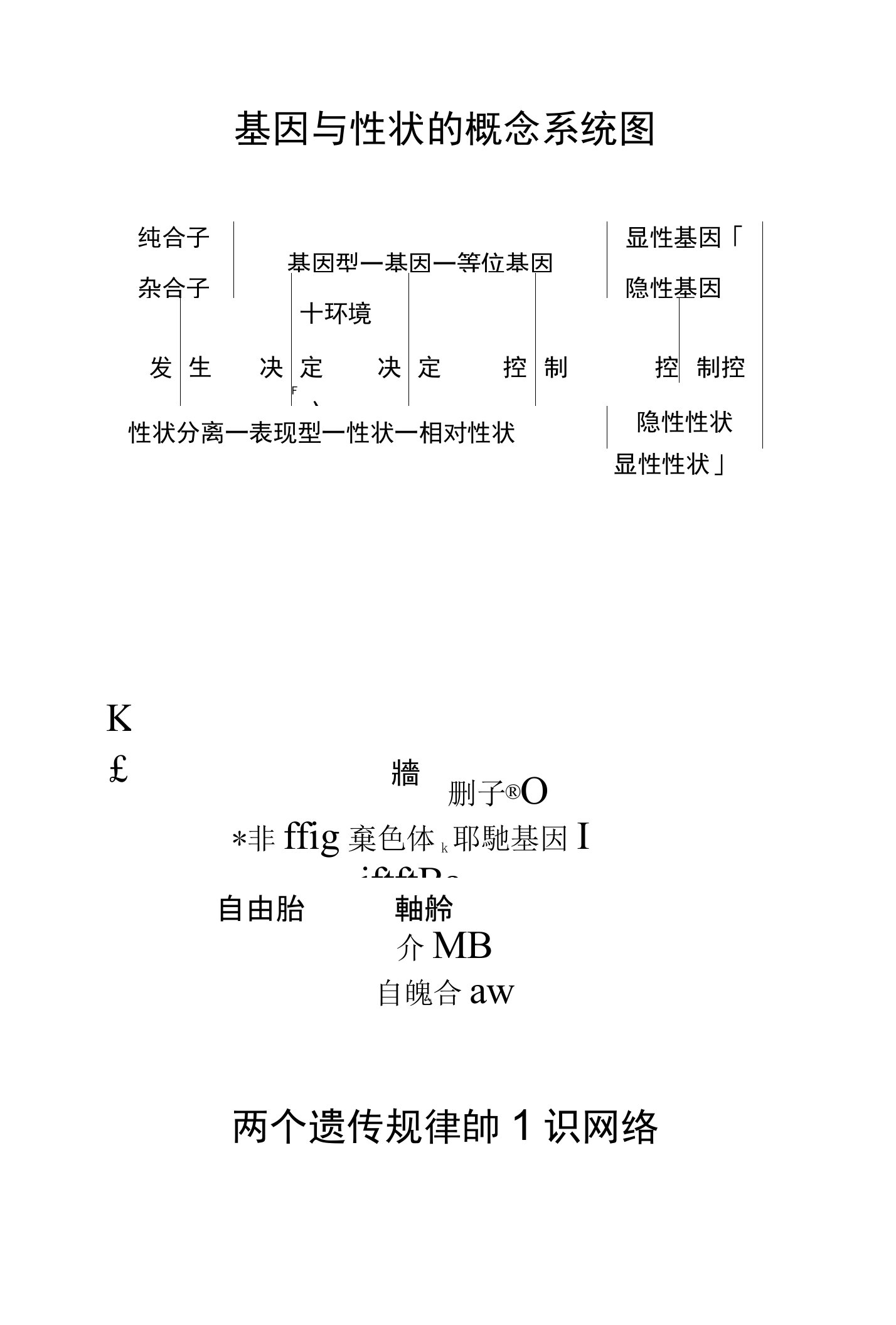 基因与性状的概念系统图