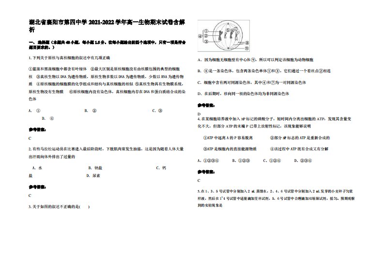 湖北省襄阳市第四中学2021-2022学年高一生物期末试卷含解析