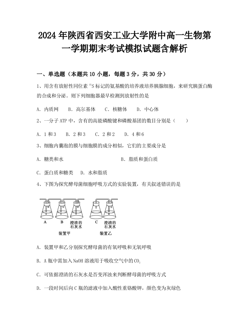 2024年陕西省西安工业大学附中高一生物第一学期期末考试模拟试题含解析