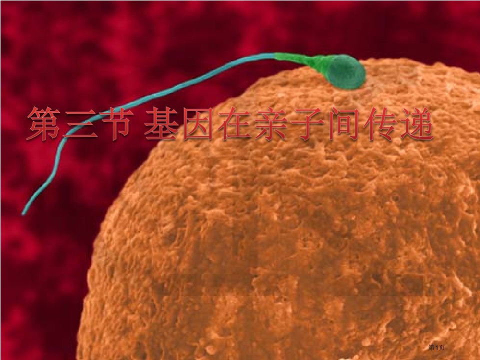 生物八年级下册8.2.3基因在亲子代间的传递优质课市公开课一等奖省优质课赛课一等奖课件