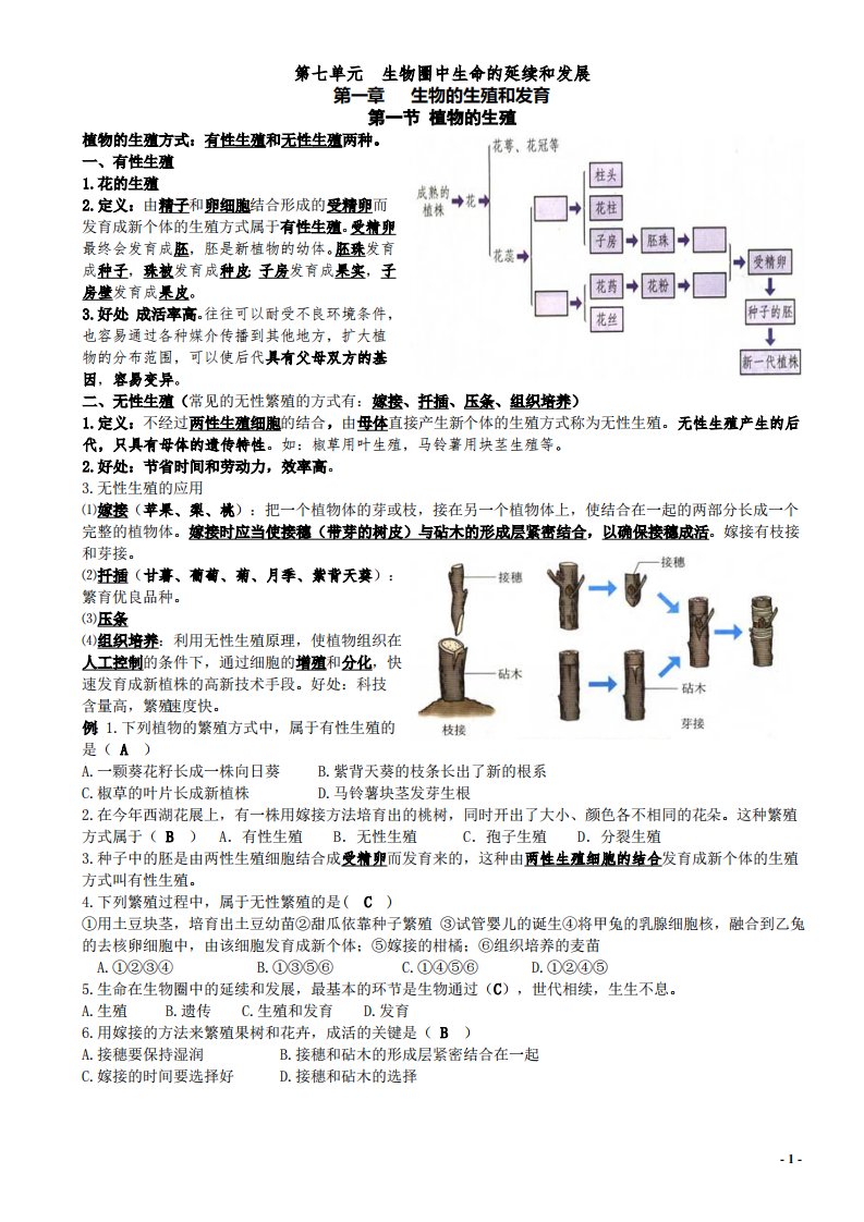 人教版八年级（下）生物复习资料