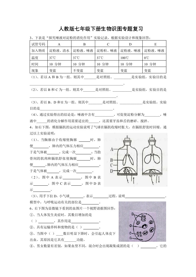 人教版七年级下册生物识图专题复习