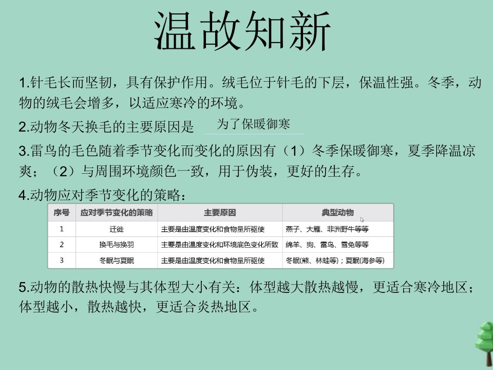 三年级科学下册