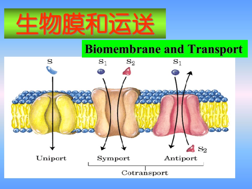 生物膜和运输公开课获奖课件省赛课一等奖课件