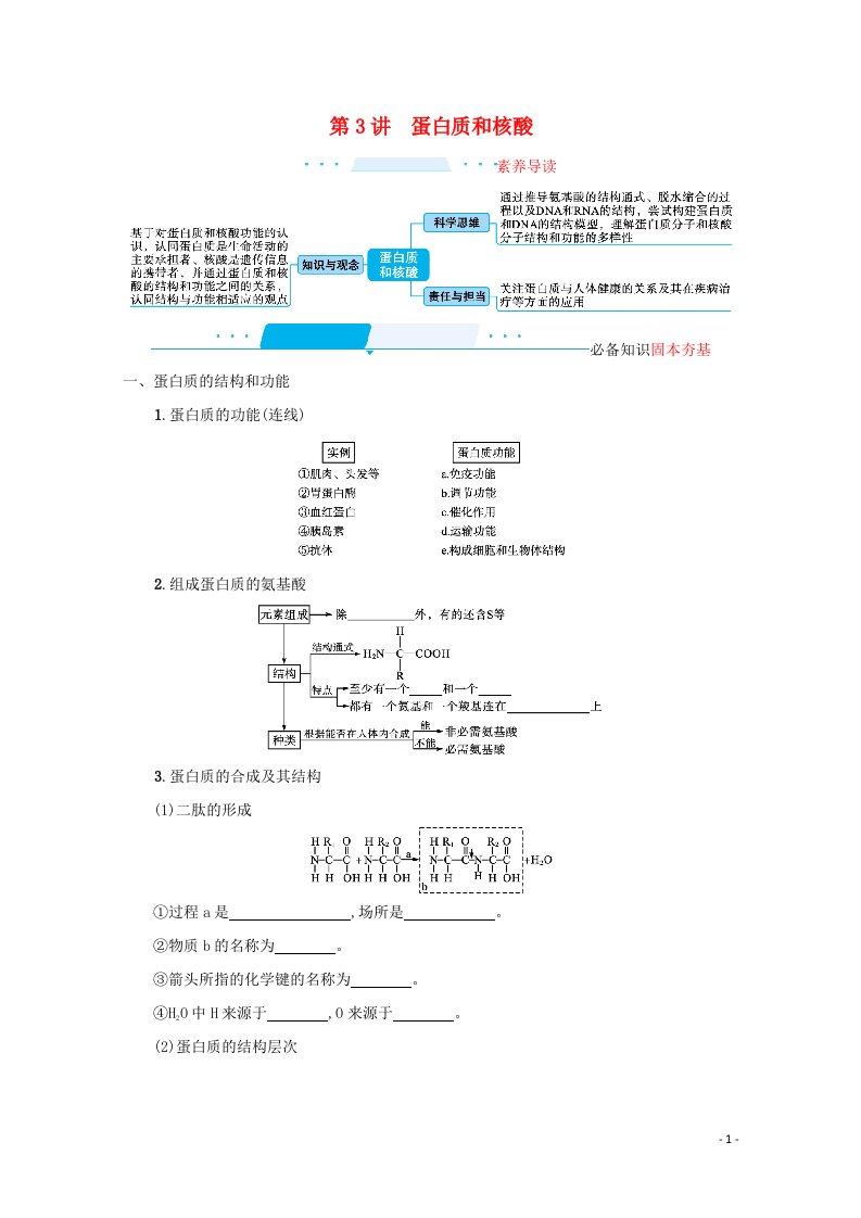 2022届新教材高考生物一轮复习第1单元细胞的概述细胞的分子组成第3讲蛋白质和核酸学案新人教版202106171102