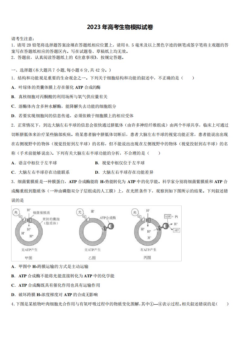 广东省惠州市惠东中学2023年高三最后一卷生物试卷含解析