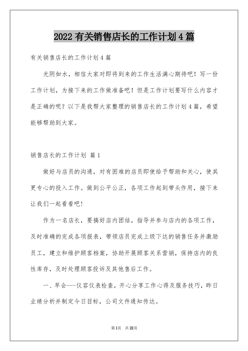 2022有关销售店长的工作计划4篇