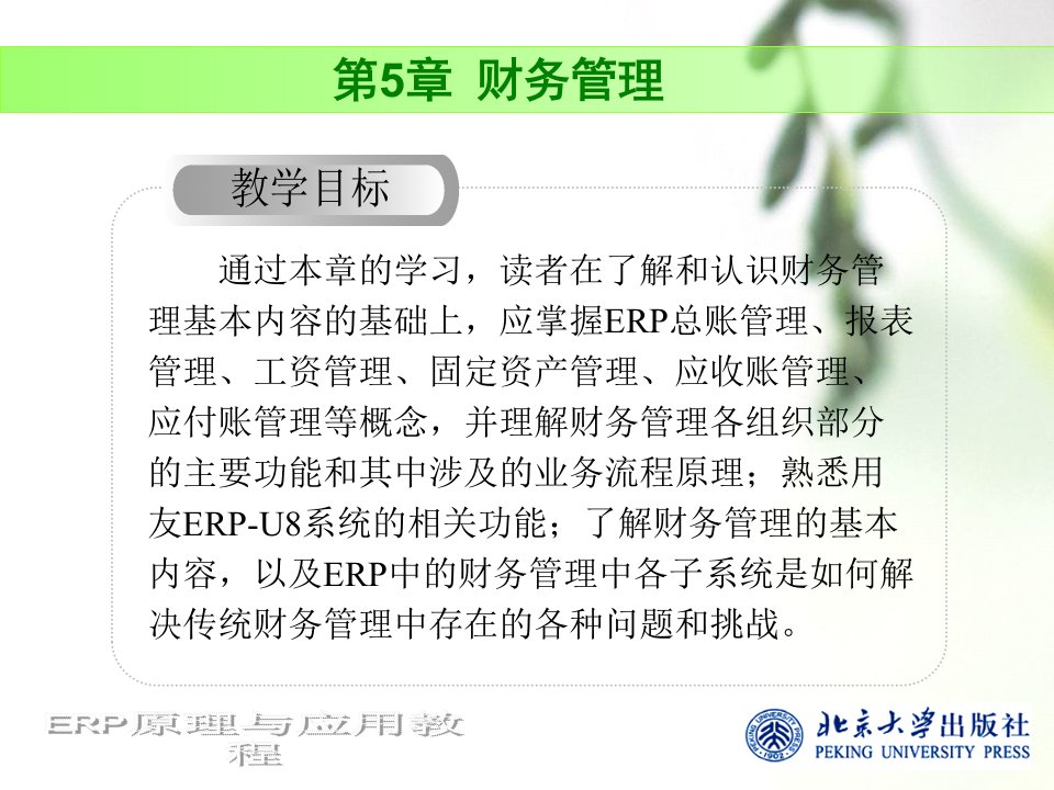 ERP原理与应用教程温雅丽第5章财务管理