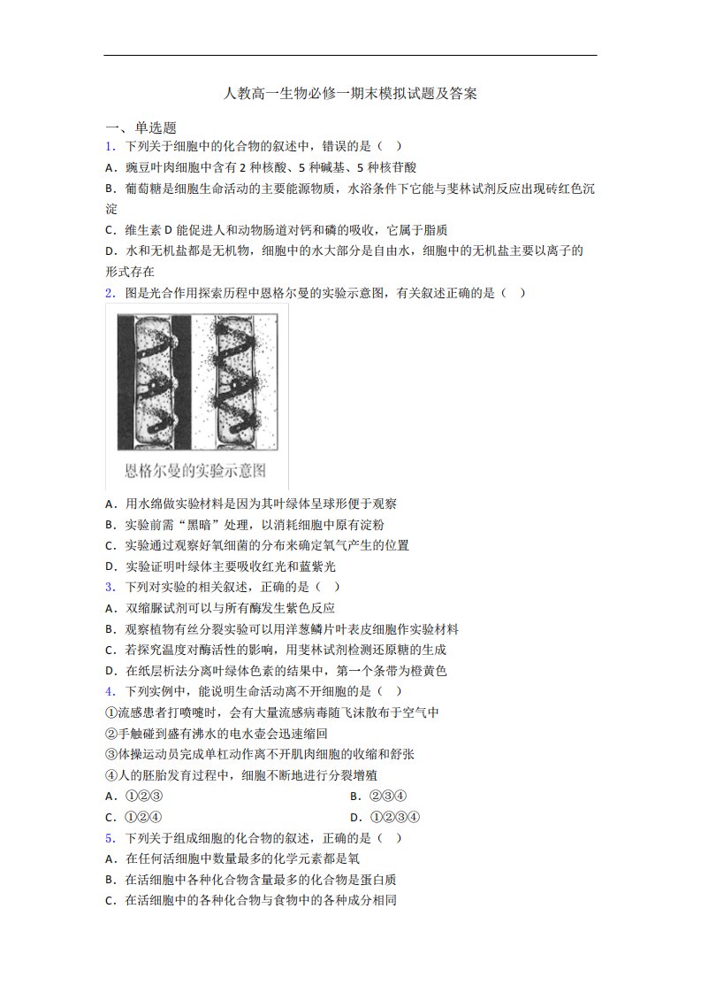 人教高一生物必修一期末模拟试题及答案