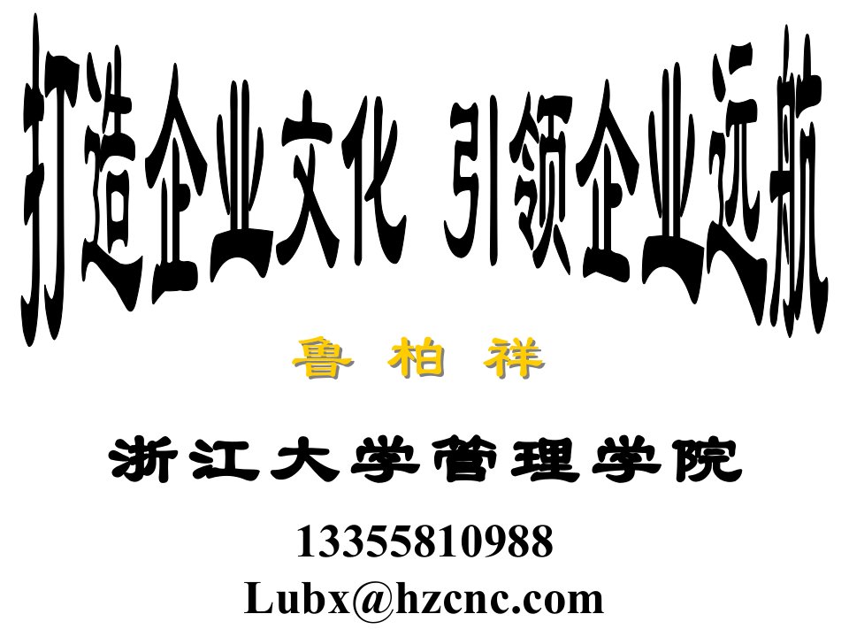 当代中国企业文化突出类型的个例评介_打造企业文化引领企业远航（PPT58页)