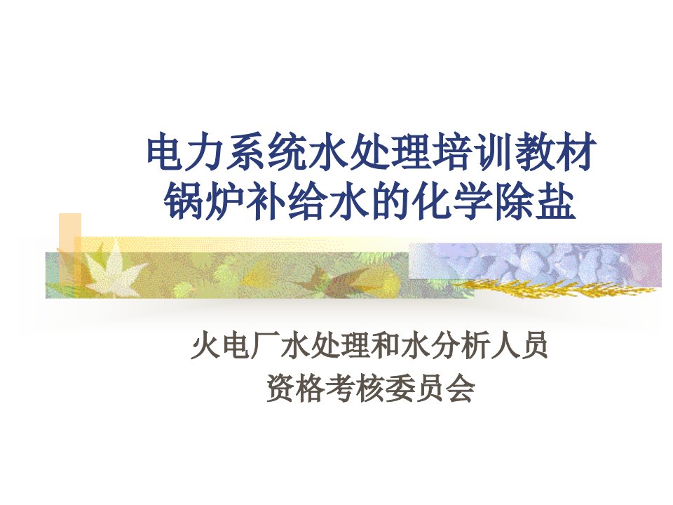 第二章锅炉补给水的化学除盐