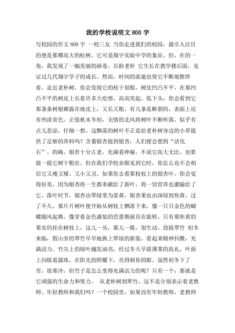 我的学校说明文800字