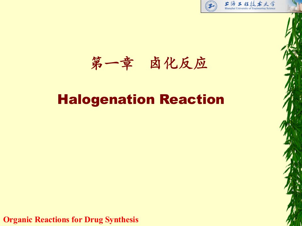 第一章卤化反应HalogenationReaction名师编辑PPT课件