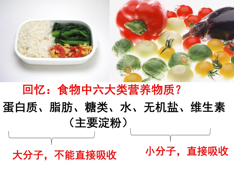 人体对食物的消化和吸收ppt课件