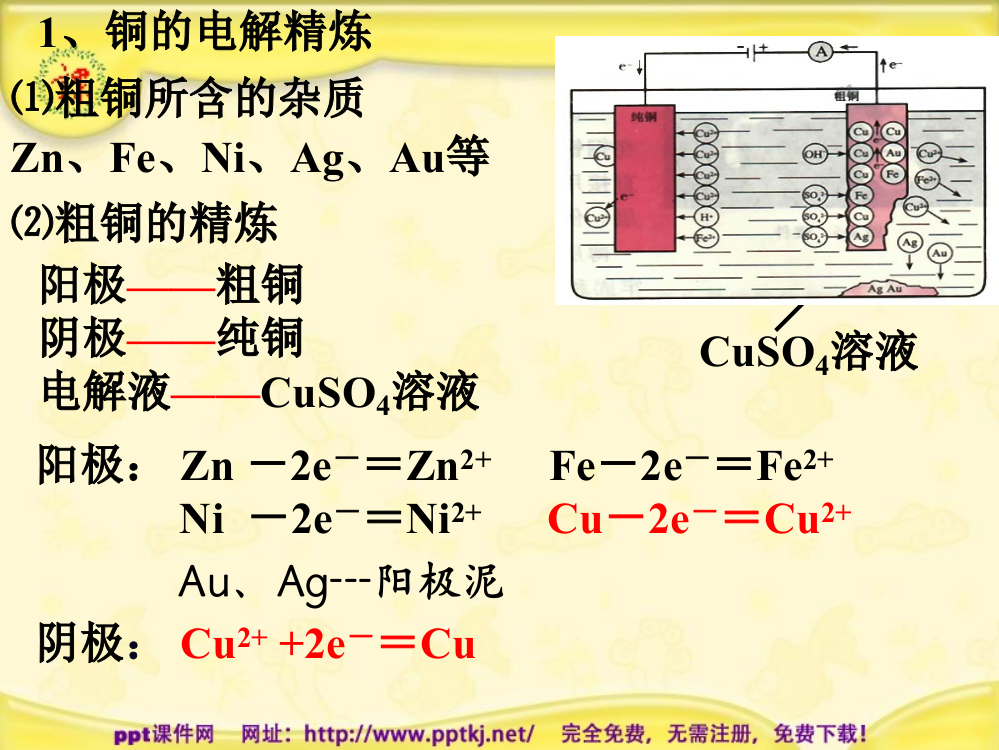 电解池的应用-铜的精炼和电镀