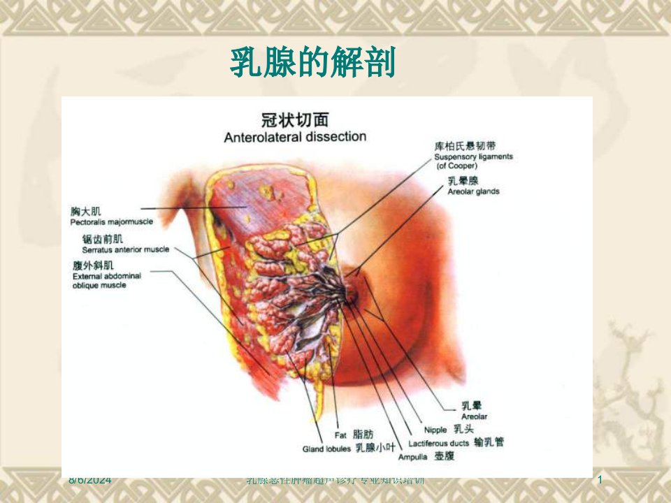 2021年乳腺恶性肿瘤超声诊疗专业知识培训