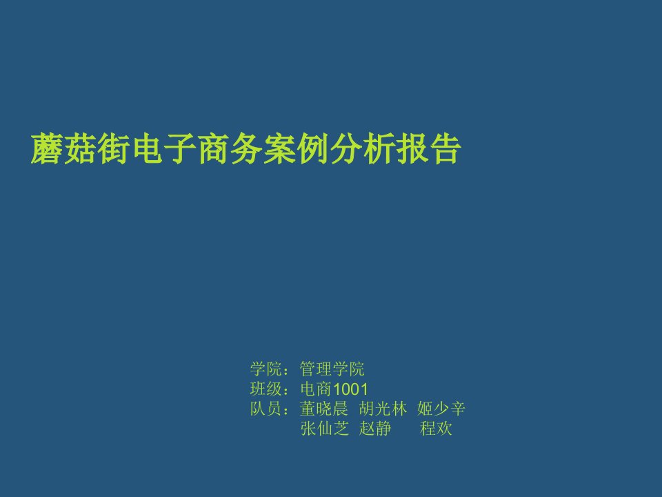 蘑菇街电子商务案例分析报告