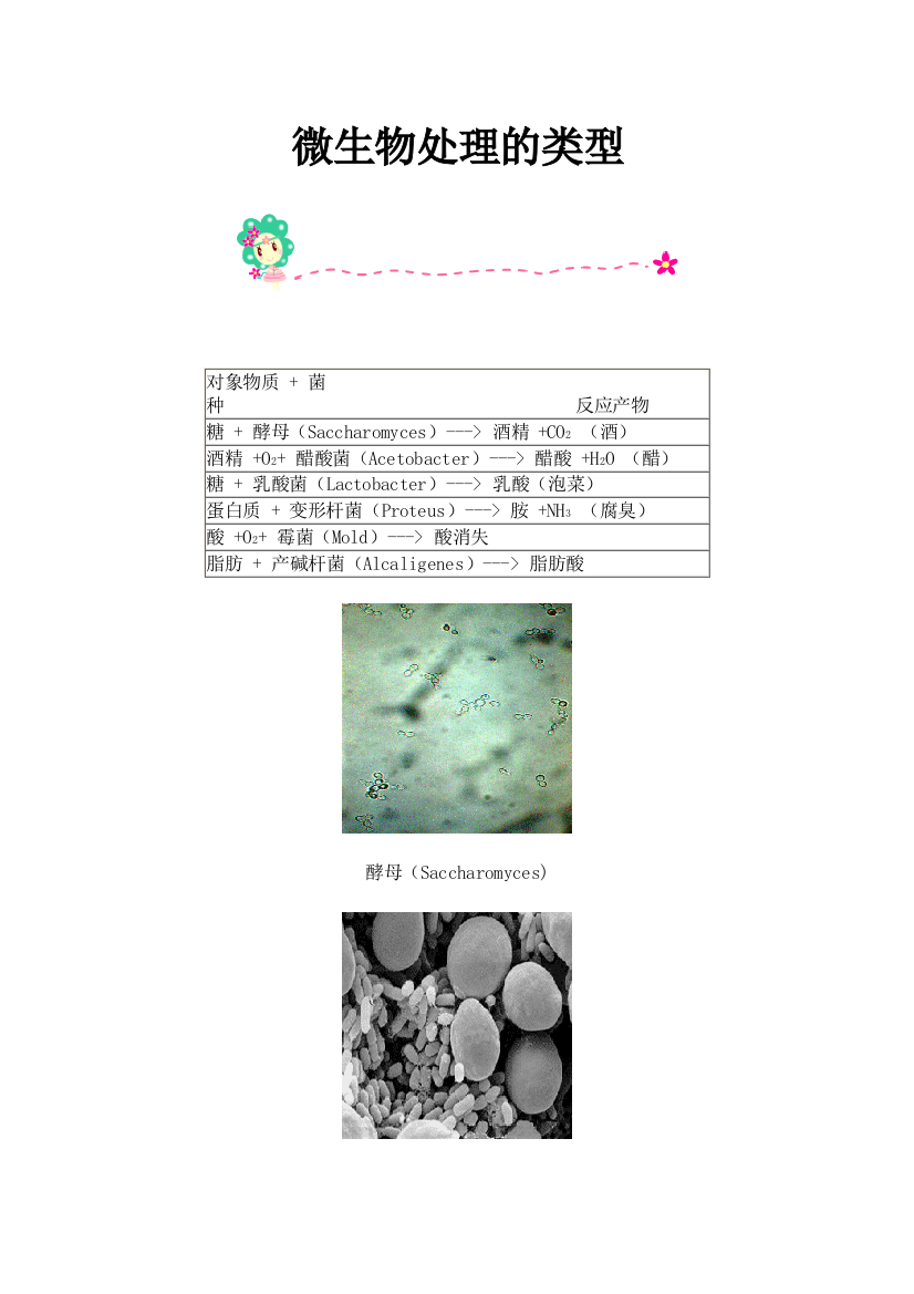 食品化学微生物处理的类型