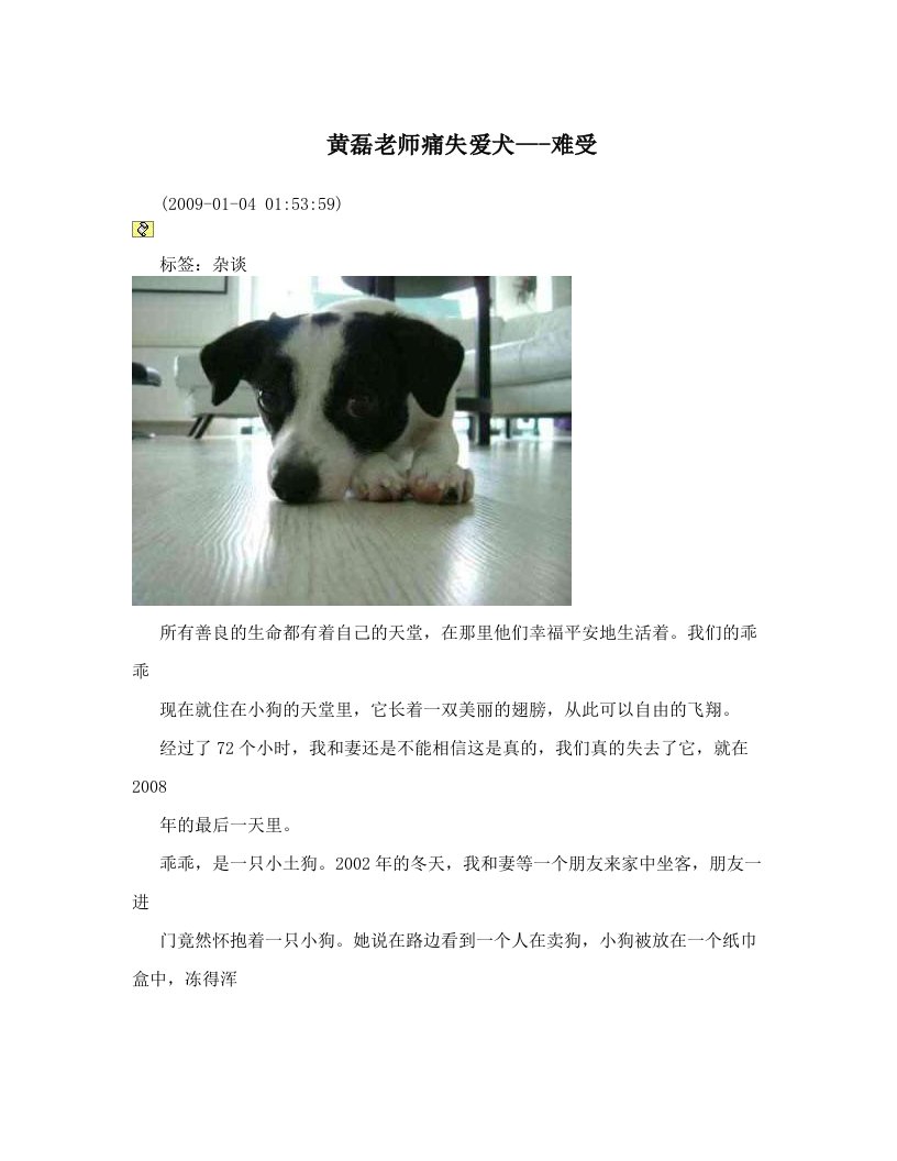 黄磊老师痛失爱犬---难受