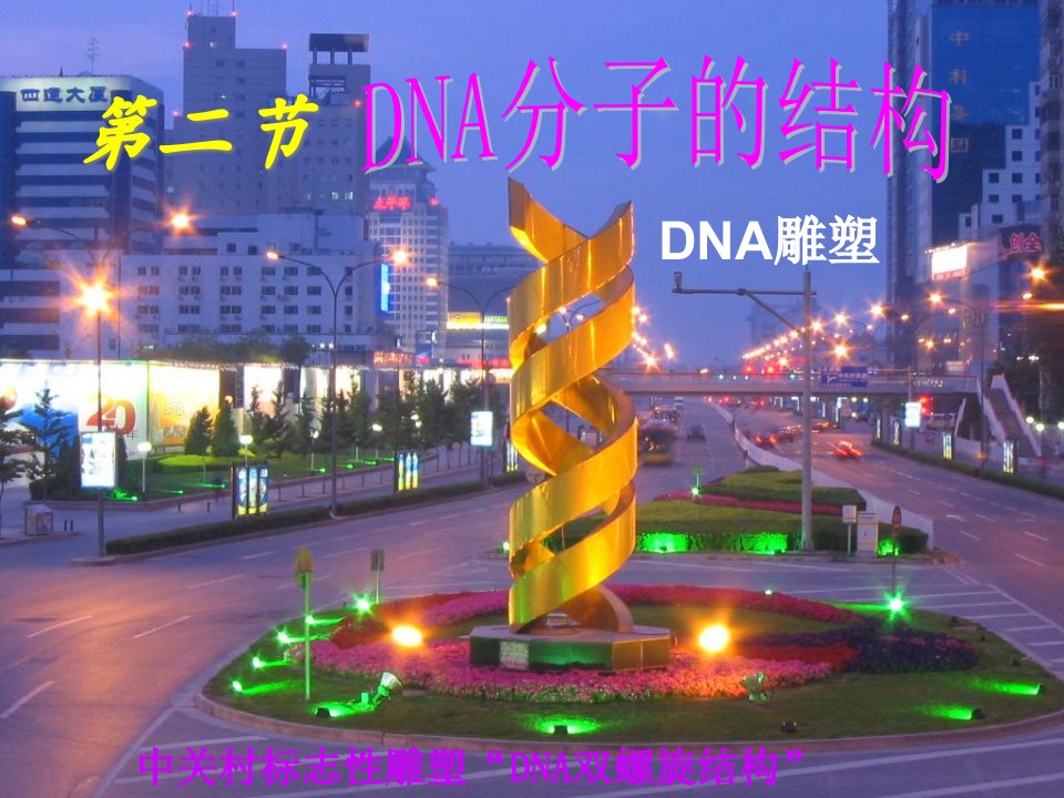 新人教版高一必修二生物第二节《DNA分子的结构》(共42张)课件