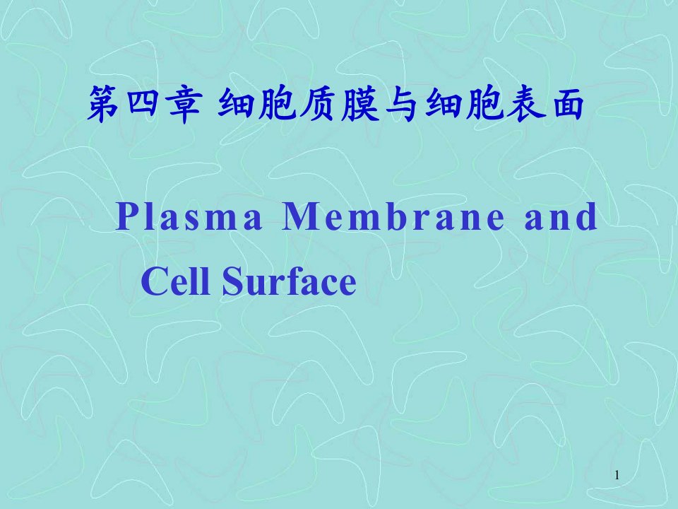 细胞生物学第4章1细胞膜与表面课件