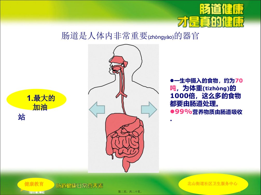 医学专题肠道健康科普讲稿