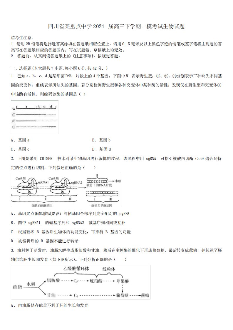 四川省某重点中学2024届高三下学期一模考试生物试题含解析