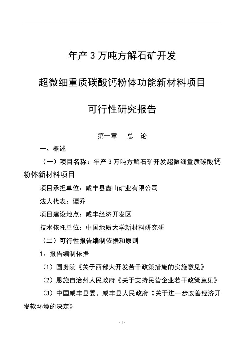 鑫山矿业有限公司项目可行性研究报告2