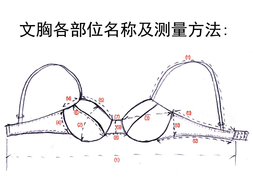 文胸各部位名称及测量方法-课件（PPT讲稿）