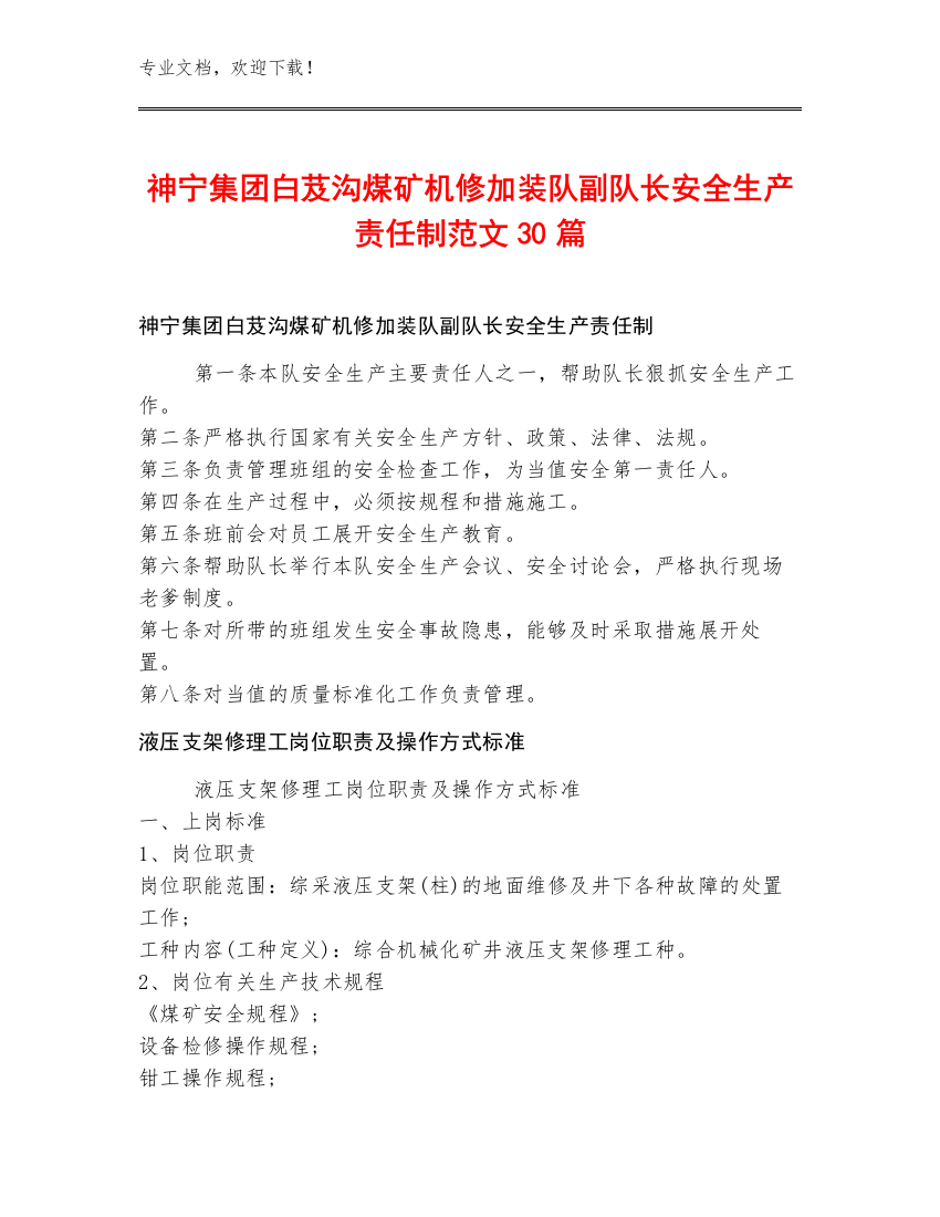 神宁集团白芨沟煤矿机修加装队副队长安全生产责任制范文30篇