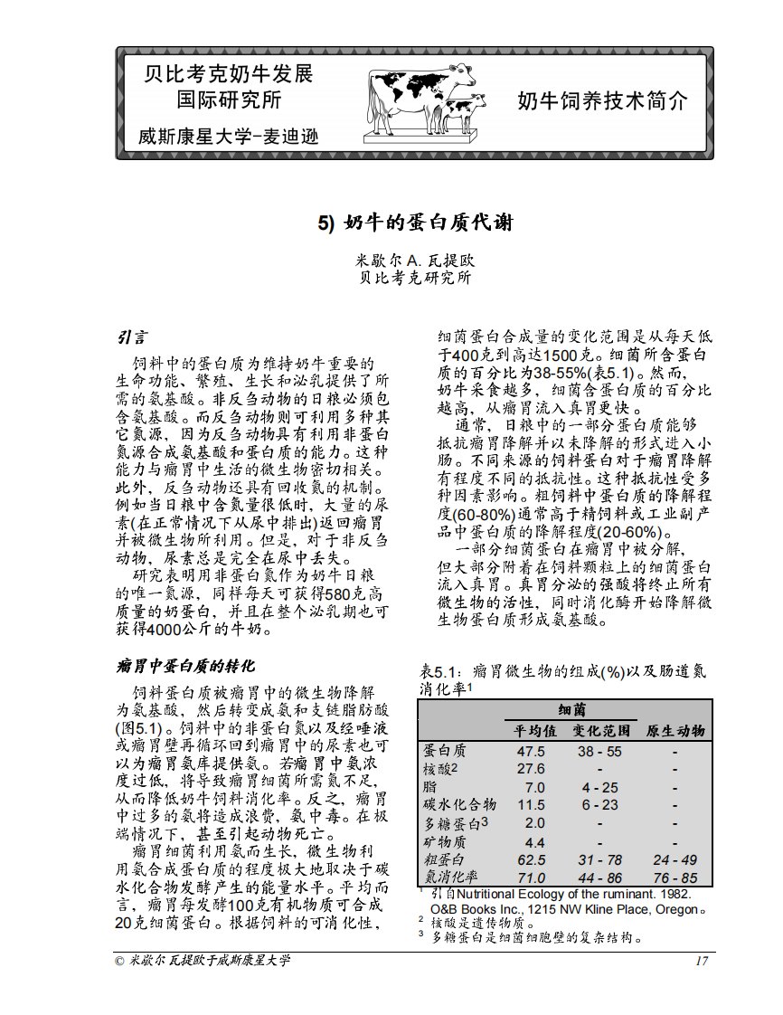 奶牛的蛋白质代谢.pdf