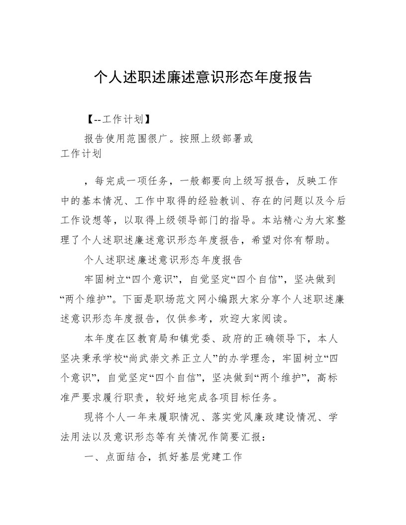 个人述职述廉述意识形态年度报告