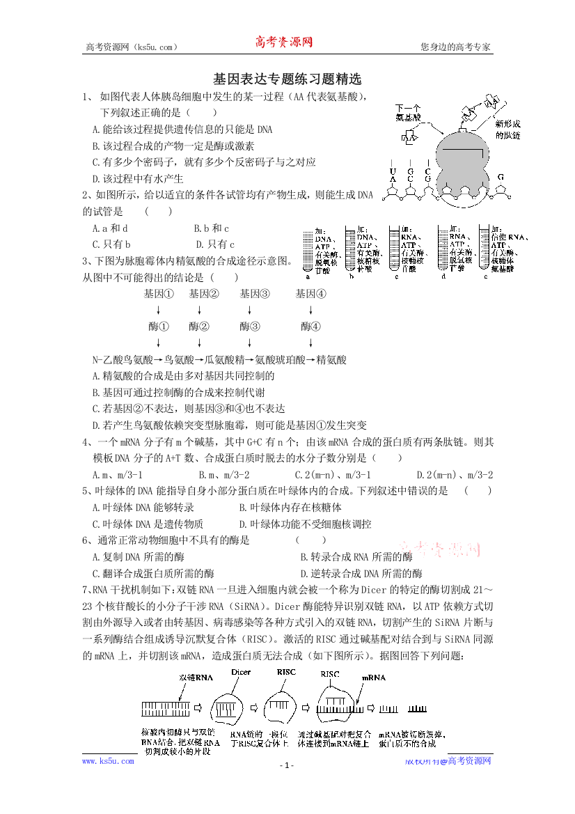 生物：基因表达专题练习题精选