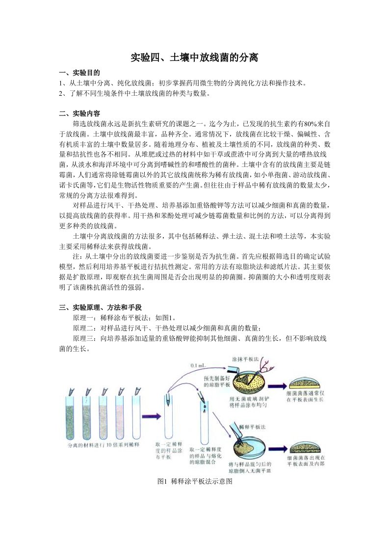 实验四、土壤中放线菌的分离