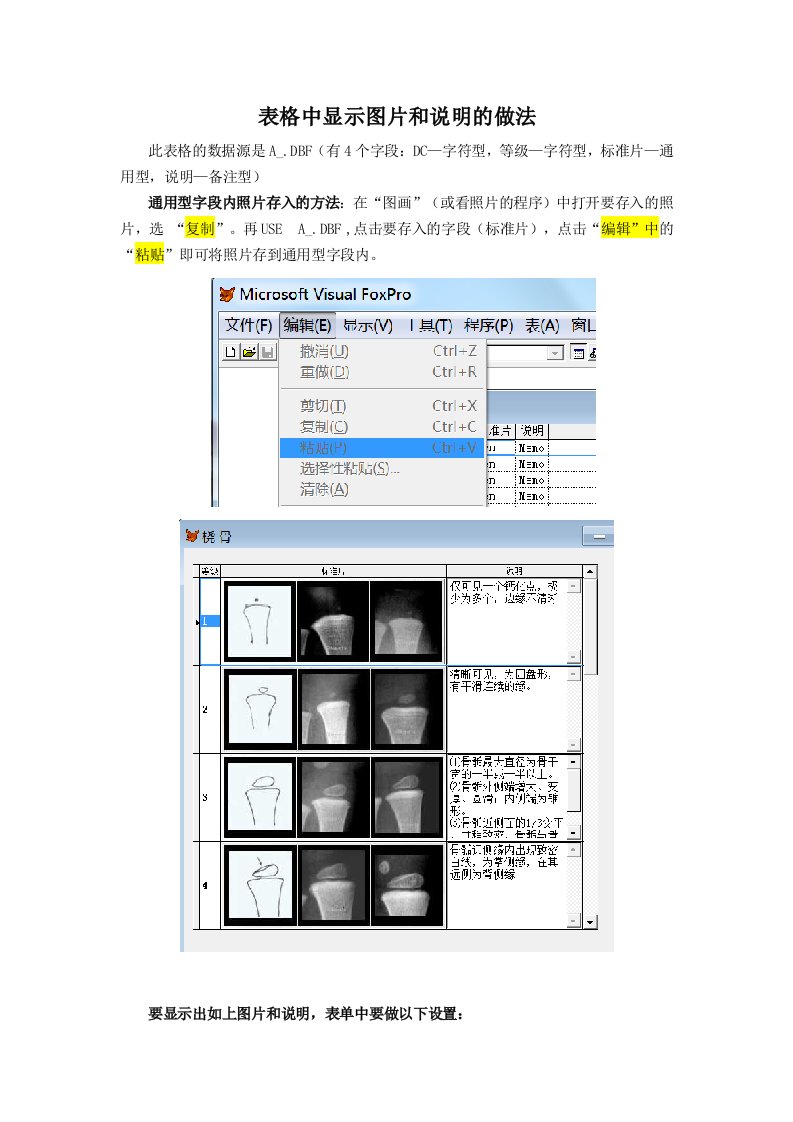 VFP表格中显示图片和说明的做法