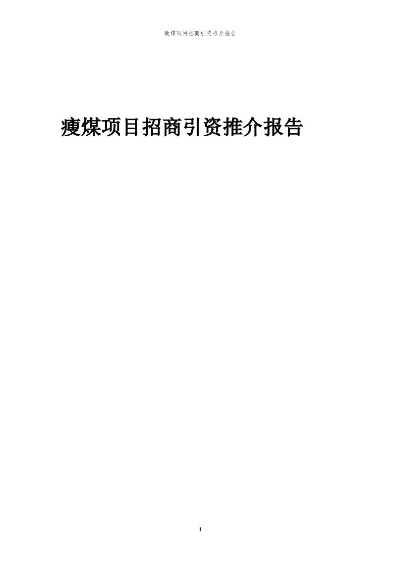 2023年瘦煤项目招商引资推介报告