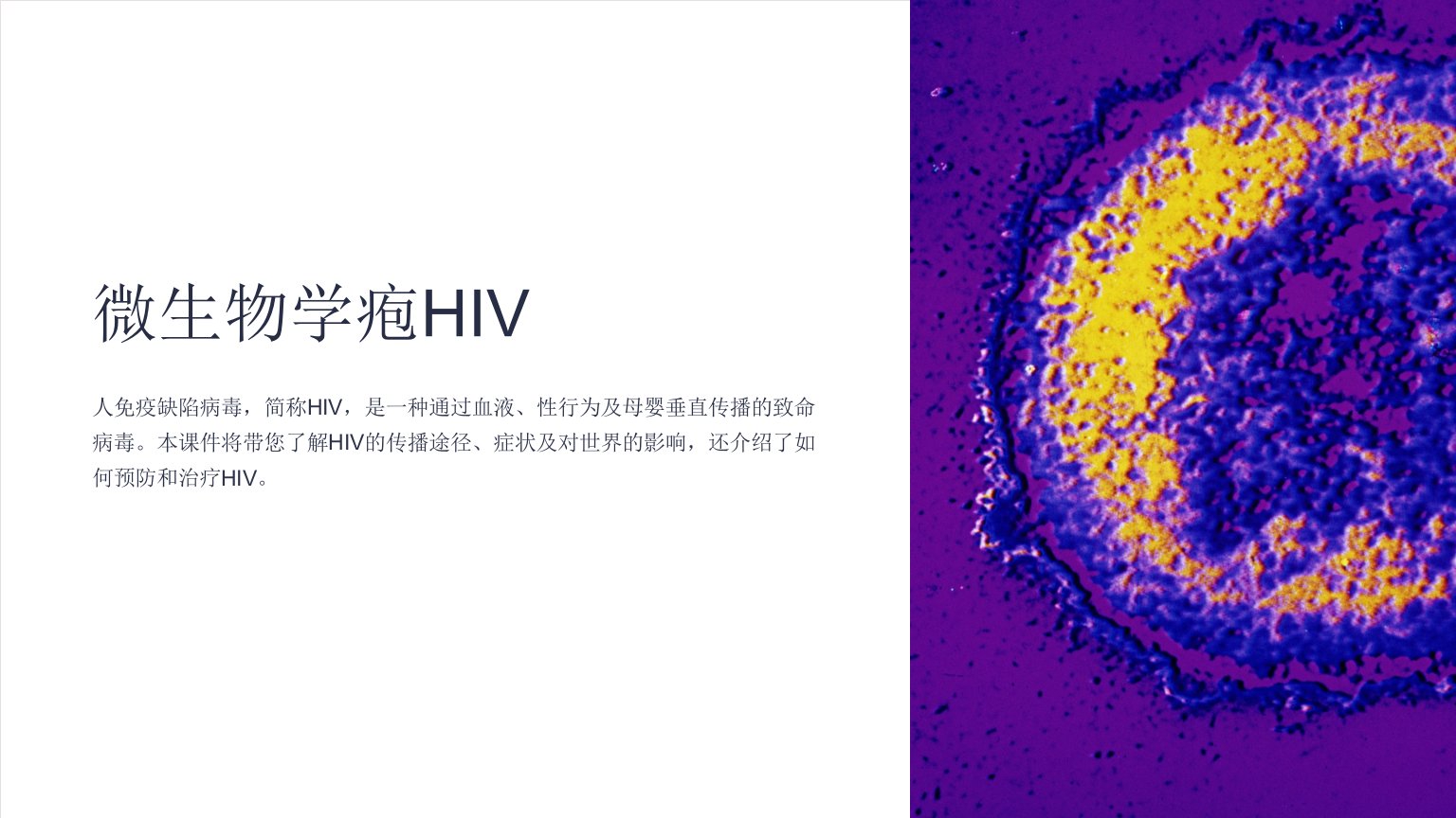 《微生物学疱HIV》课件